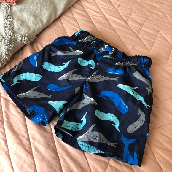 Swim Trunks - Picture 2 of 3
